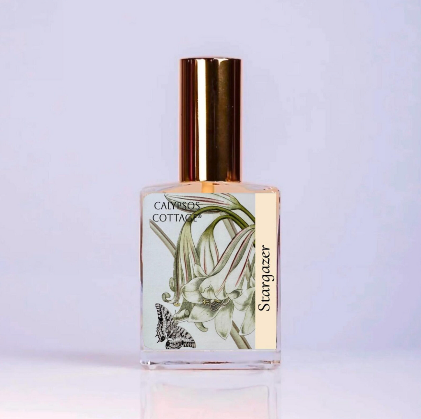 Stargazer Perfume