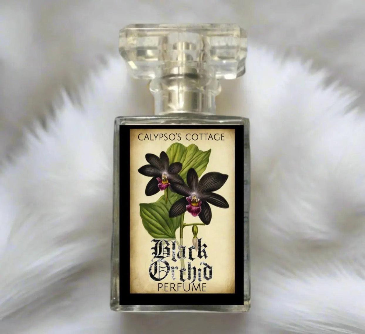 Black Orchid Perfume