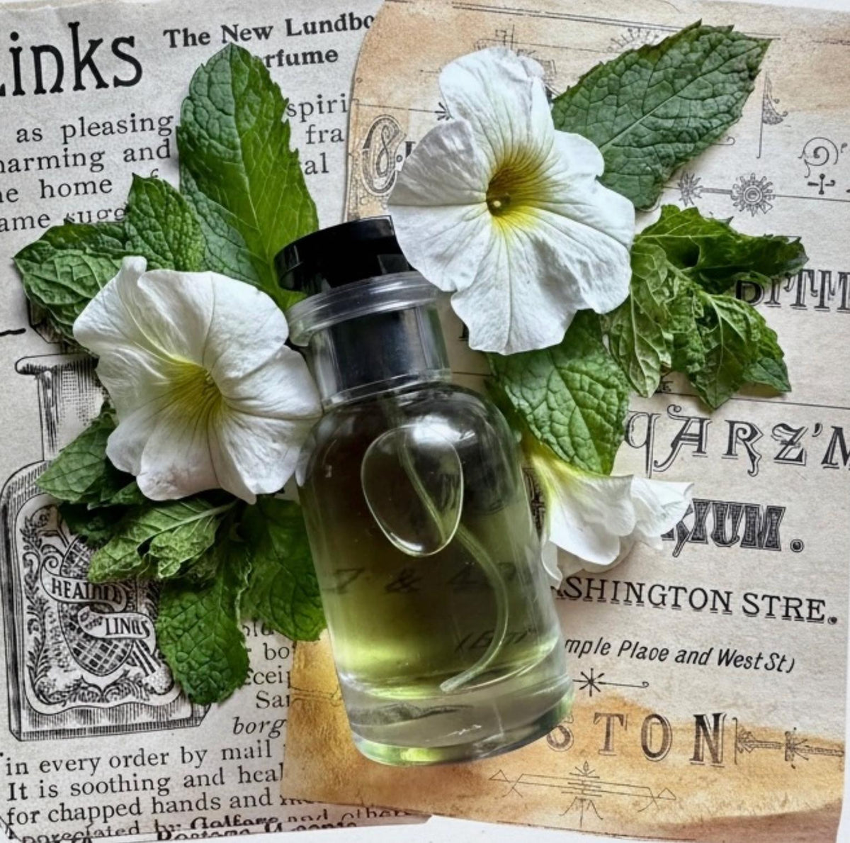 Moss Maiden Perfume-Calypsos Cottage
